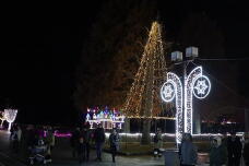 183905_3.jpg  : 106 KB