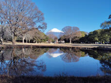 183910_1.jpg  : 326 KB