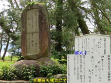 183920_3.jpg  : 90 KB