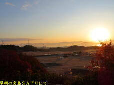 183935_3.jpg  : 31 KB