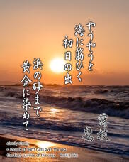 183950_1.jpg  : 200 KB