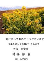 183953_1.jpg  : 61 KB