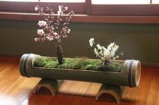 183953_2.jpg  : 98 KB