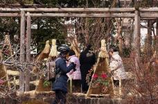 184011_1.jpg  : 180 KB