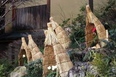 184020_2.jpg  : 222 KB