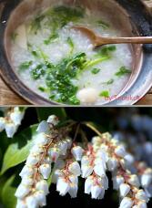 184030_1.jpg  : 132 KB