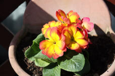 184034_1.jpg  : 67 KB