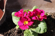 184034_3.jpg  : 75 KB