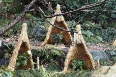 184043_1.jpg  : 195 KB