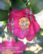 184063_1.jpg  : 215 KB