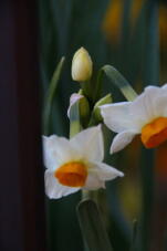 184080_2.jpg  : 29 KB