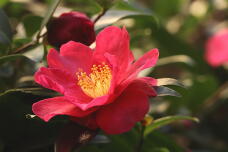 184088_2.jpg  : 81 KB