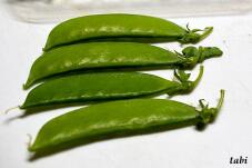 184090_1.jpg  : 50 KB