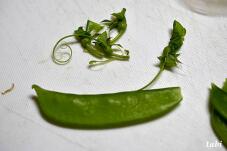 184090_3.jpg  : 56 KB