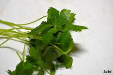 184090_5.jpg  : 47 KB