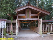 184092_2.jpg  : 78 KB