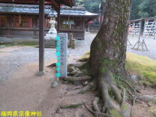 184092_3.jpg  : 75 KB