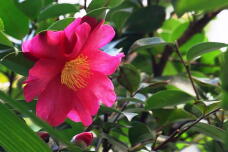 184103_2.jpg  : 117 KB