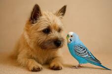 184119_1.jpg  : 88 KB