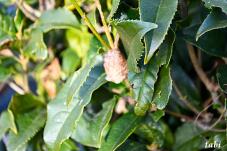 184130_5.jpg  : 64 KB