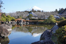 184137_1.jpg  : 235 KB