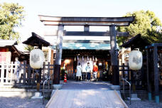 184153_1.jpg  : 106 KB