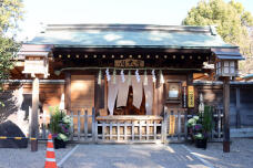 184153_2.jpg  : 109 KB