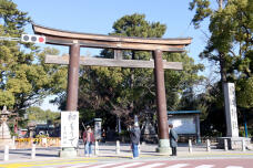 184153_3.jpg  : 133 KB