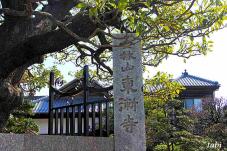 184163_1.jpg  : 57 KB