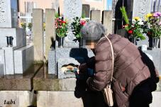 184163_5.jpg  : 94 KB