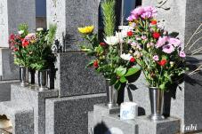 184163_9.jpg  : 136 KB