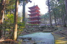 184169_1.jpg  : 351 KB