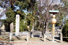 184171_2.jpg  : 166 KB