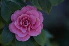 184173_1.jpg  : 26 KB