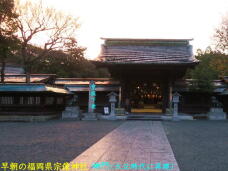 184181_2.jpg  : 59 KB