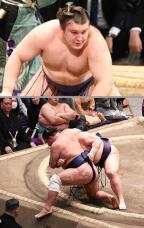 184183_2.jpg  : 195 KB