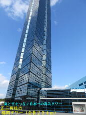 184194_2.jpg  : 62 KB