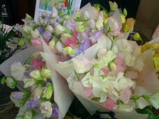 184210_1.jpg  : 124 KB