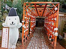 184212_1.jpg  : 161 KB