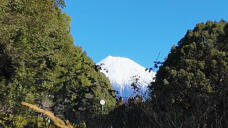 184224_1.jpg  : 133 KB