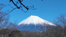 184243_1.jpg  : 110 KB