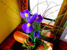 184247_2.jpg  : 92 KB