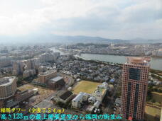 184253_3.jpg  : 63 KB