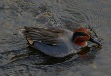 184277_1.jpg  : 87 KB