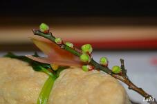 184282_5.jpg  : 34 KB