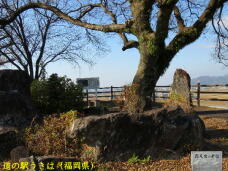 184283_3.jpg  : 95 KB