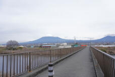 184286_1.jpg  : 121 KB