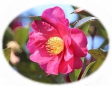 184291_1.jpg  : 20 KB