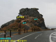 184299_1.jpg  : 41 KB