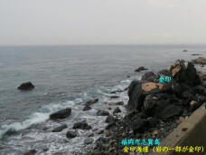 184299_2.jpg  : 43 KB